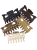 7-zębny duży PS brąz.png