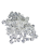 Capki 1 bezbarwne.png